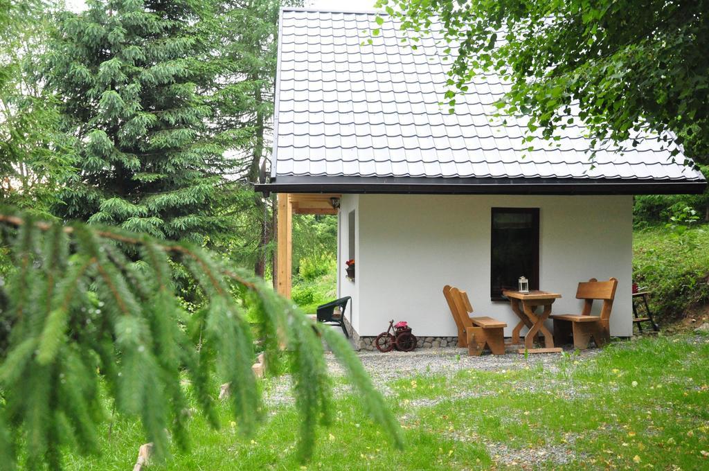 Chatka Pod Trohancem Lutowiska Kültér fotó
